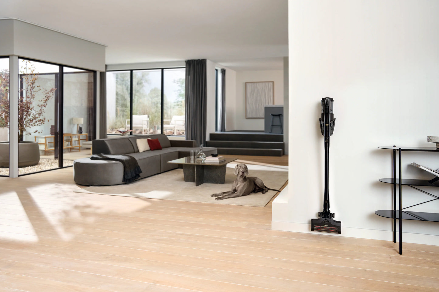 Triflex HX3 Cat & Dog