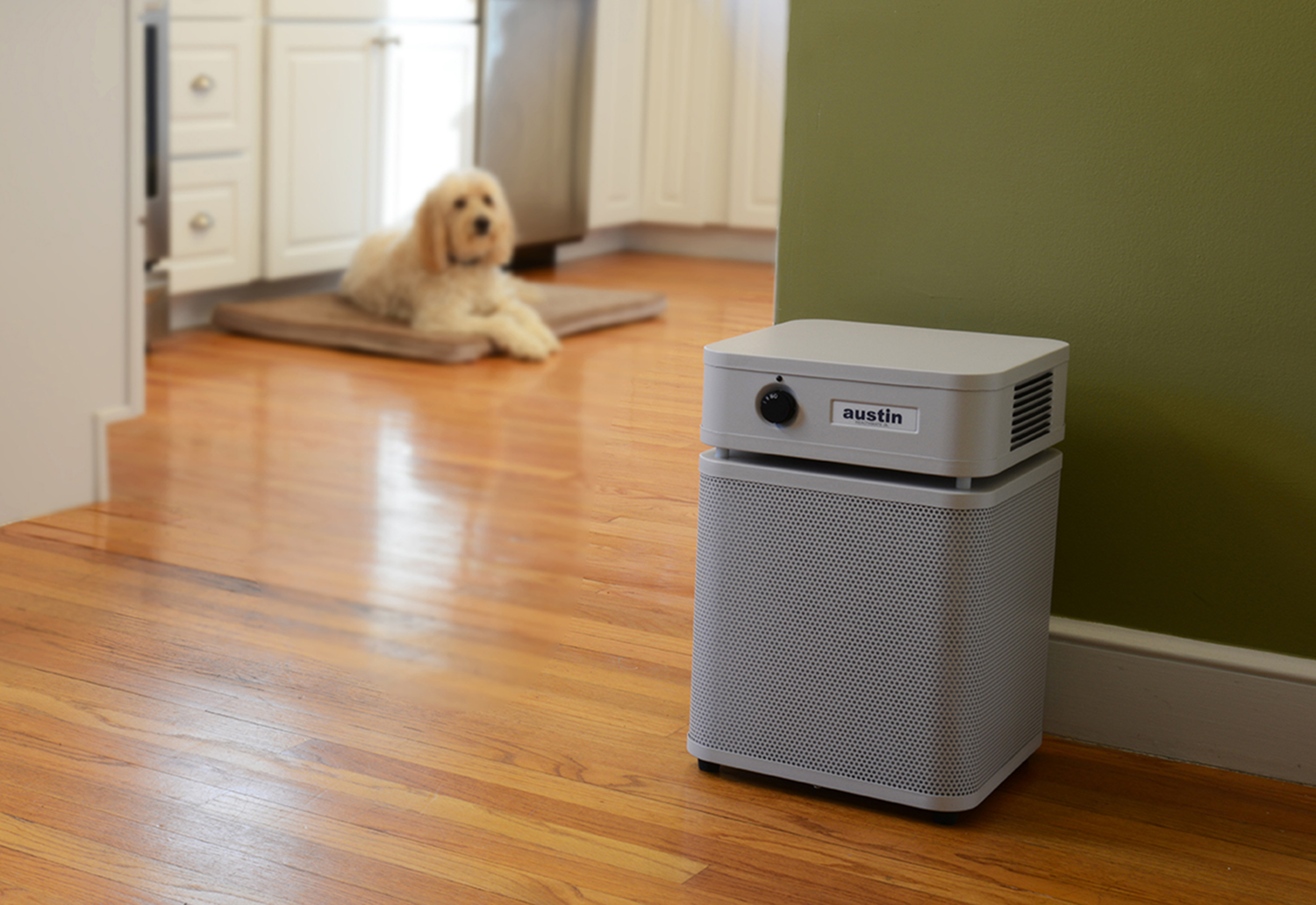 Walnut Creek Vacuum Since 1950